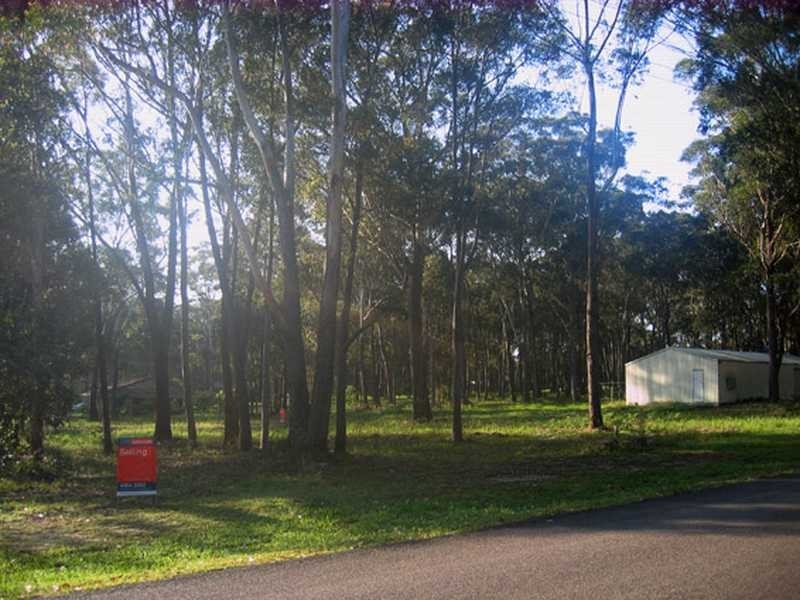 29 Boyd Boulevarde, Medowie NSW 2318