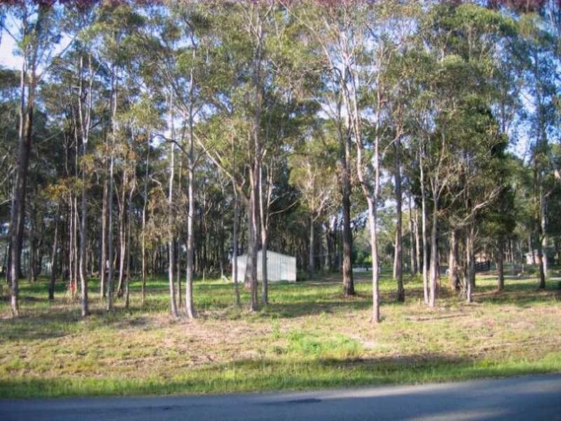 29 Boyd Boulevarde, Medowie NSW 2318