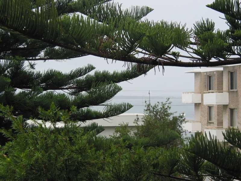 Unit 1/2 Lillian Street, Shoal Bay NSW 2315