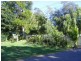 772 Marsh Road, Bobs Farm NSW 2316