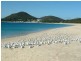18 Voyager Cl, Nelson Bay NSW 2315