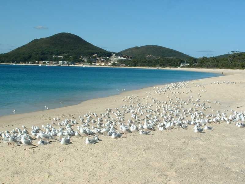 18 Voyager Cl, Nelson Bay NSW 2315