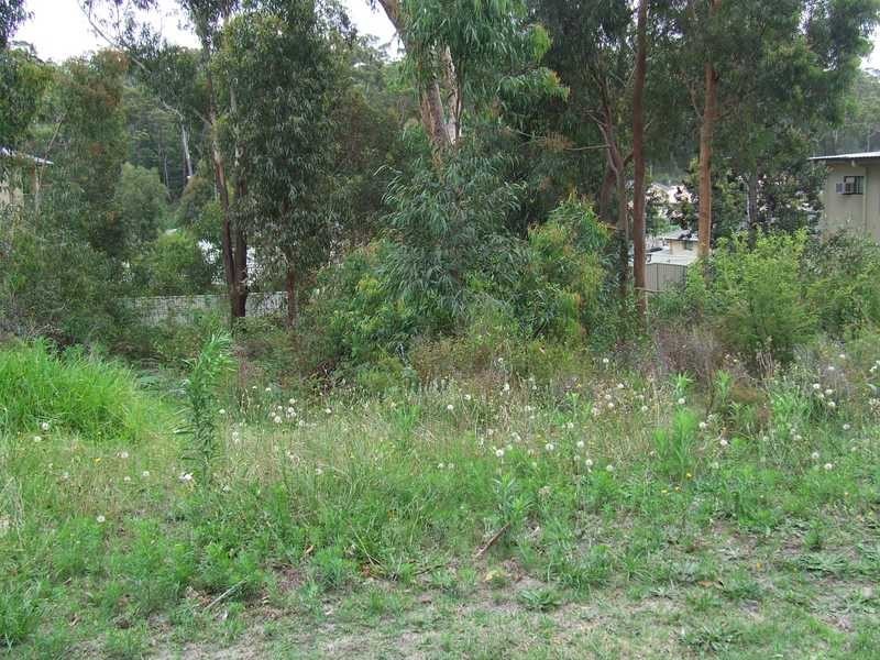Corlette NSW 2315