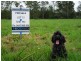 Lot 12 Westland Court, Forestdale QLD 4118