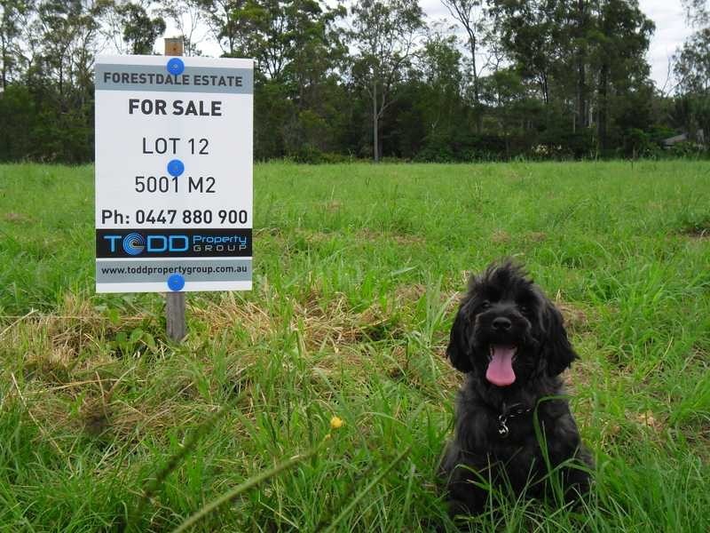 Lot 12 Westland Court, Forestdale QLD 4118