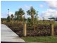 Lot 353 Sienna Crescent, Pimpama QLD 4209