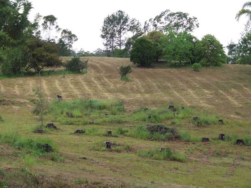 Lot 482 Glenview Road, Glenview QLD 4553