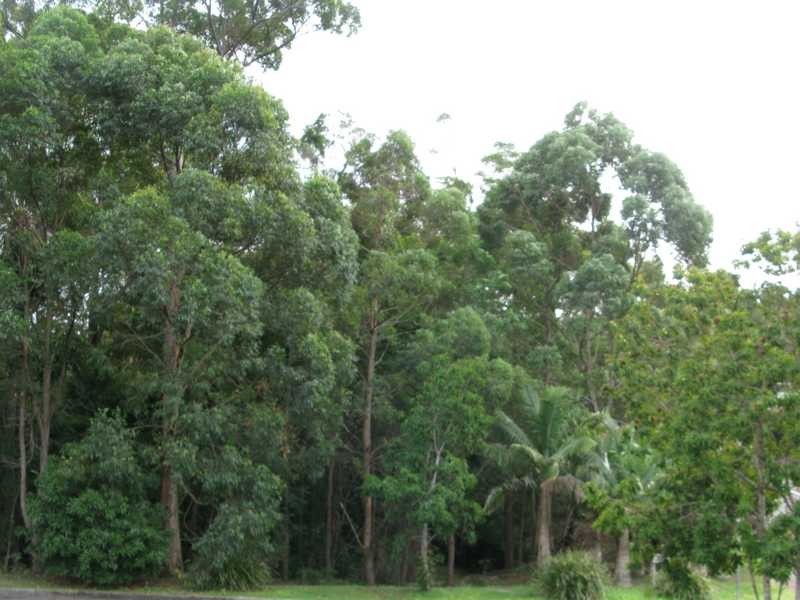 14 Mark Road, Little Mountain QLD 4551