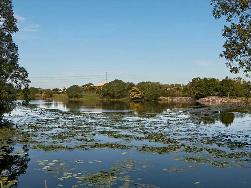 21 Albany Street, Sippy Downs QLD 4556