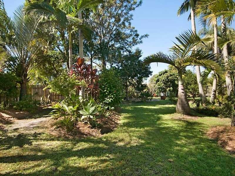 6 Satinay Street, Mountain Creek QLD 4557