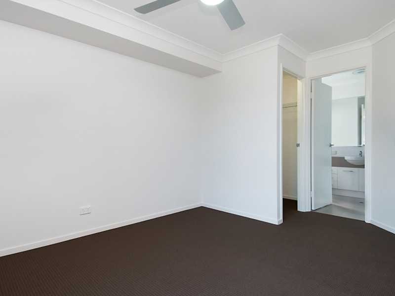 25 Forest Grove Cct, Sippy Downs QLD 4556