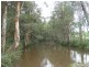 87 Creekside Drive, Sippy Downs QLD 4556