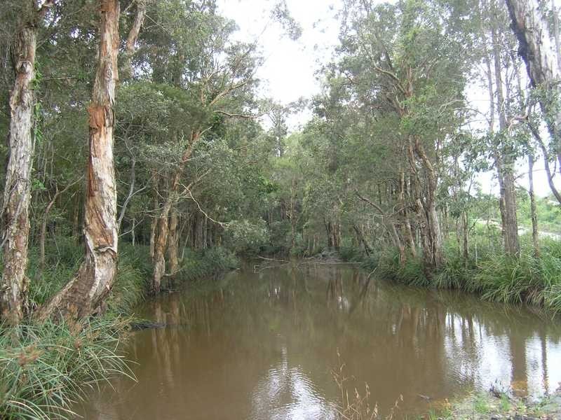 87 Creekside Drive, Sippy Downs QLD 4556