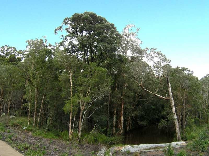 87 Creekside Drive, Sippy Downs QLD 4556