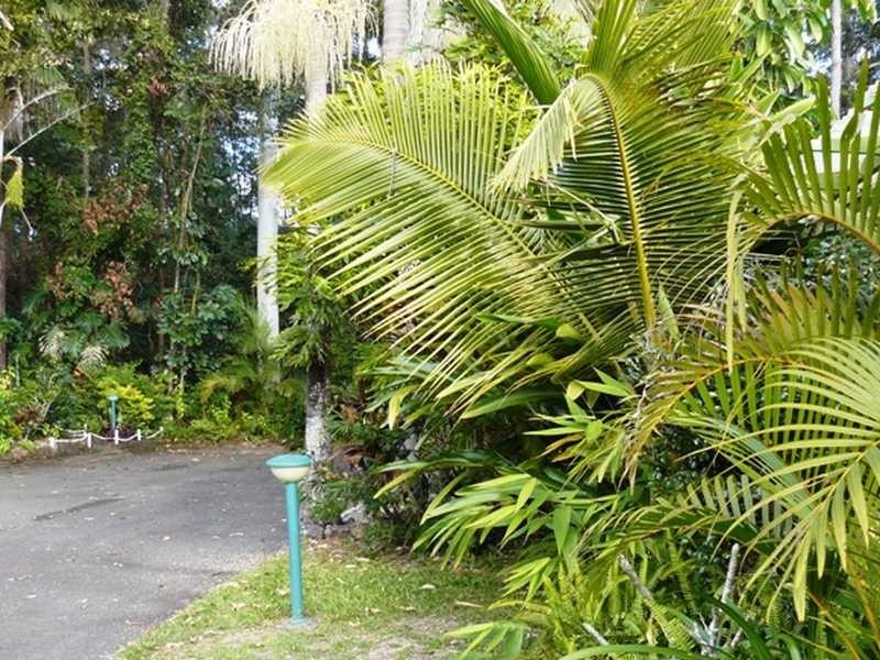 Forest Glen QLD 4556