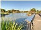 36 Riveroak Way, Sippy Downs QLD 4556