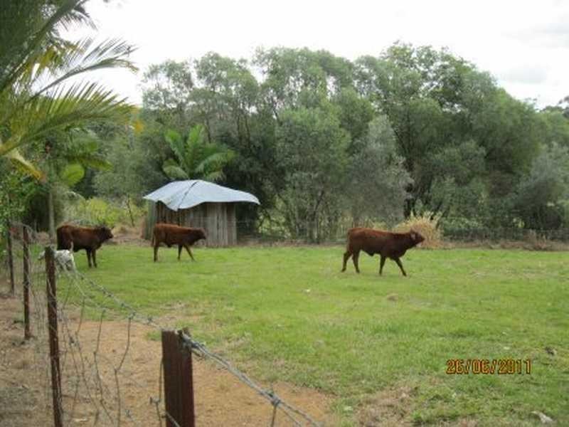 123 Old Peachester Road, Beerwah QLD 4519