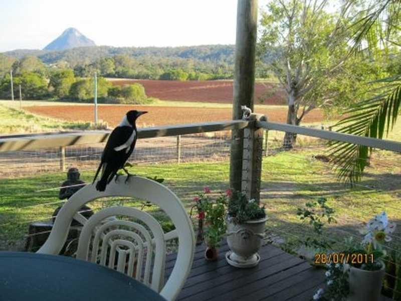 123 Old Peachester Road, Beerwah QLD 4519