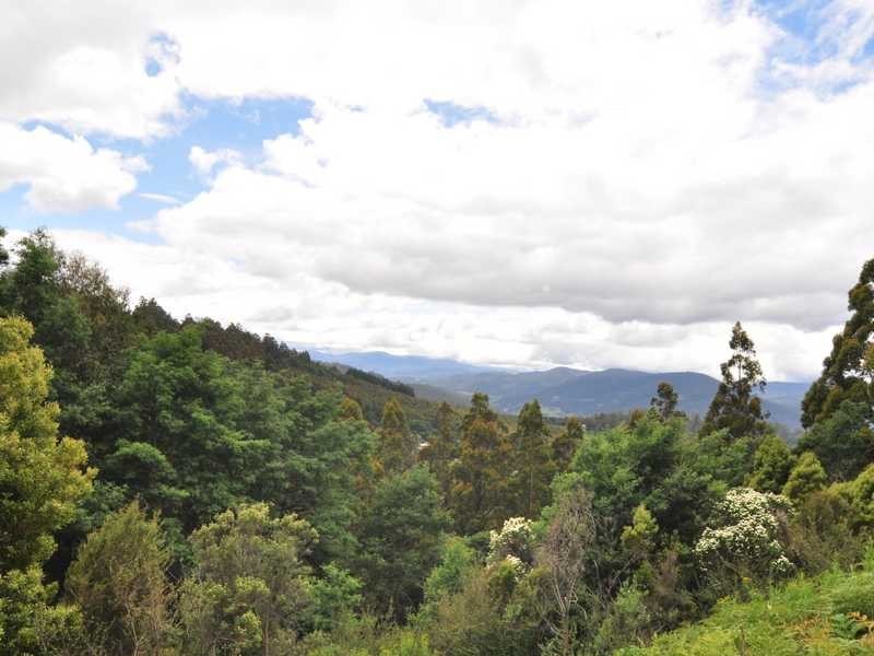 19 Hills Road, Franklin TAS 7113