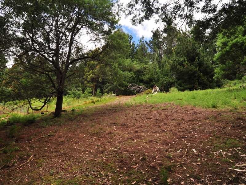 19 Hills Road, Franklin TAS 7113