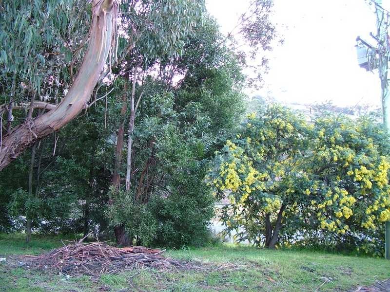 1103 Woodbridge Hill Road, Gardners Bay TAS 7112