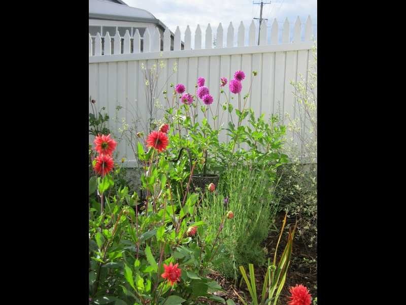 7604 Channel Highway, Cygnet TAS 7112