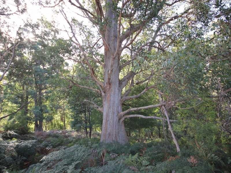 Ra Saddle Road, Kettering TAS 7155
