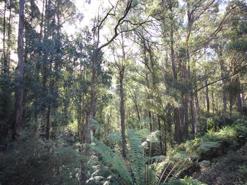 Ra Saddle Road, Kettering TAS 7155