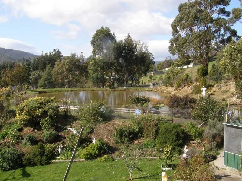 3 Elizabeth Street, Cygnet TAS 7112