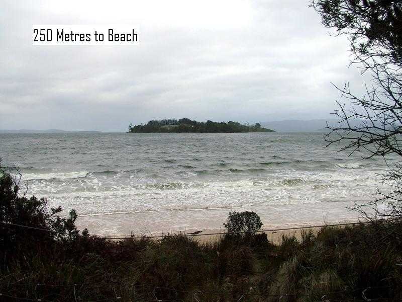 Verona Sands TAS 7112