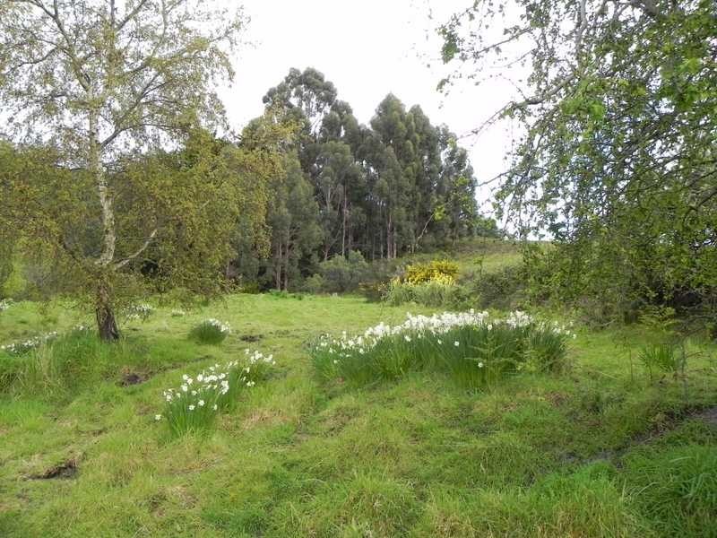 Lot/RA Rainbirds Road, Flowerpot TAS 7163