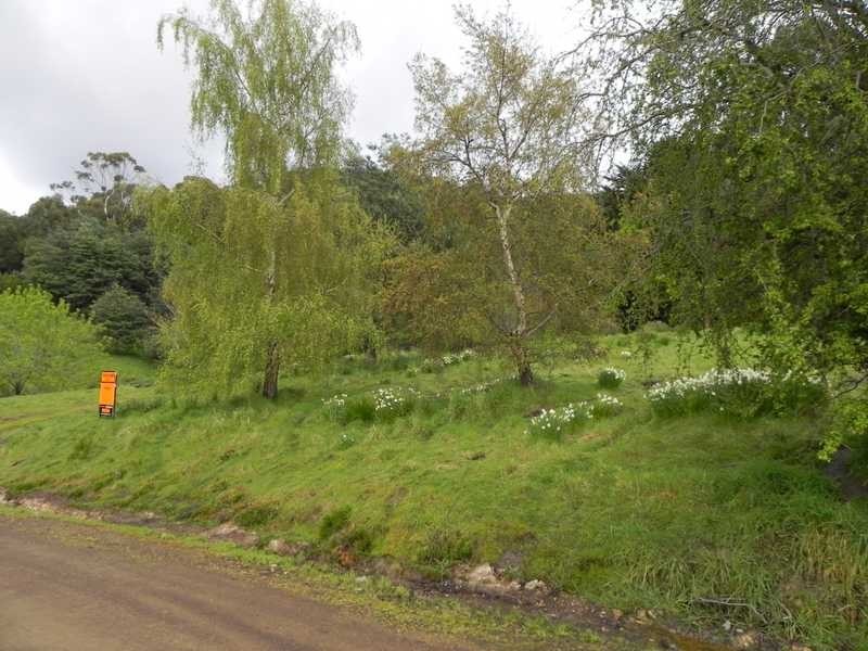 Lot/RA Rainbirds Road, Flowerpot TAS 7163