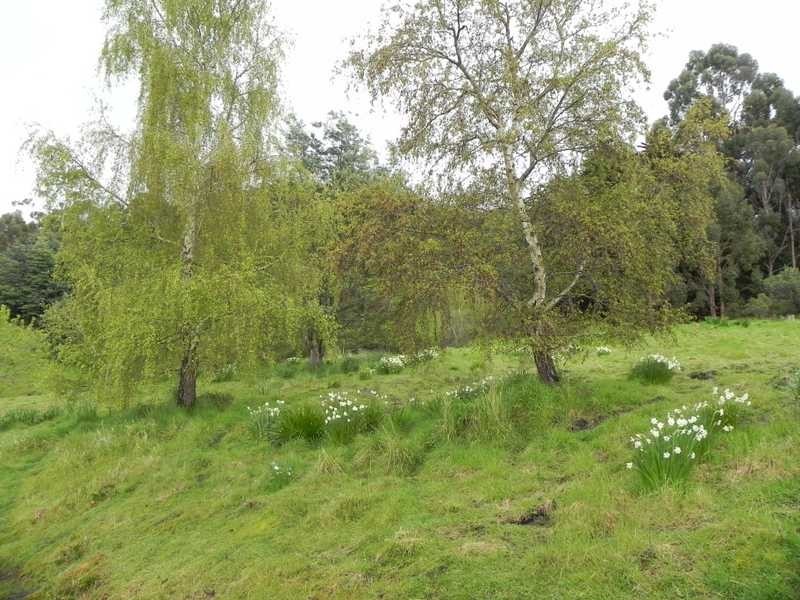 Lot/RA Rainbirds Road, Flowerpot TAS 7163