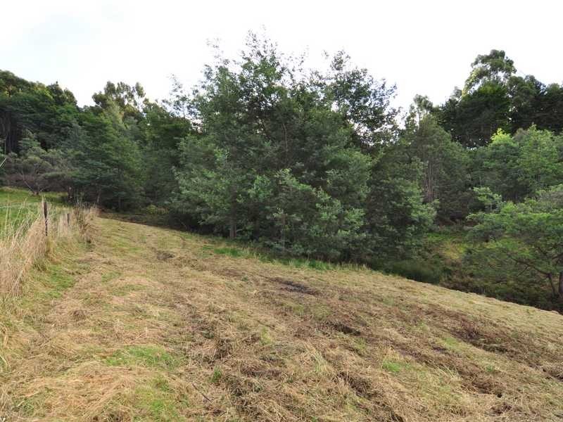Lot/RA Rainbirds Road, Flowerpot TAS 7163