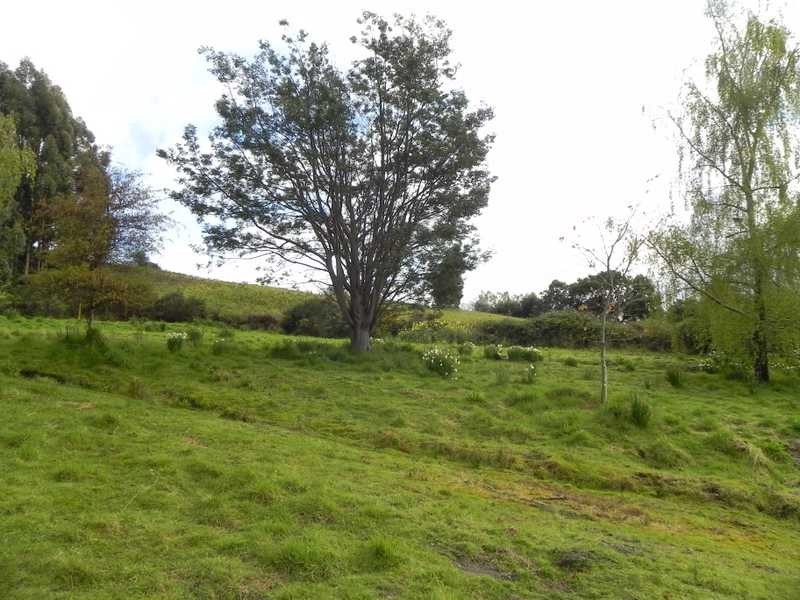 Lot/RA Rainbirds Road, Flowerpot TAS 7163