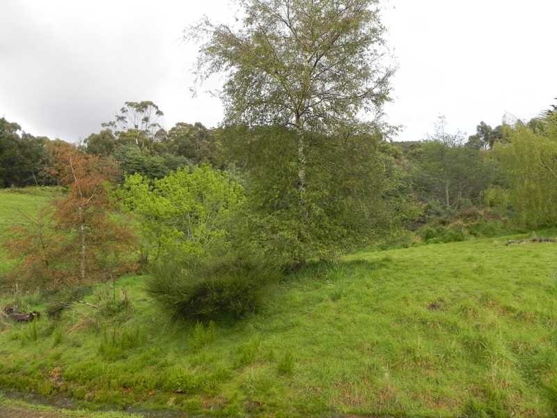 Lot/RA Rainbirds Road, Flowerpot TAS 7163