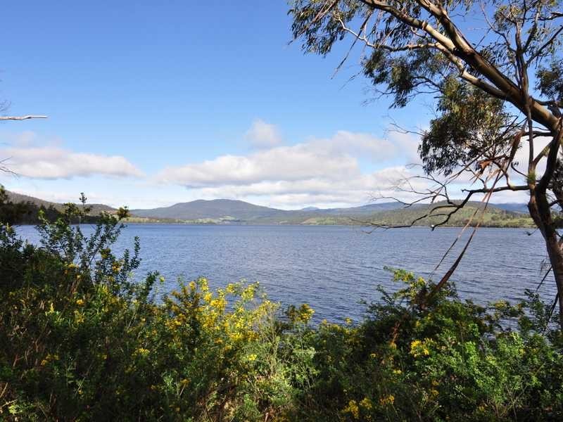 1345 Cygnet Coast Road, Lower Wattle Grove TAS 7109