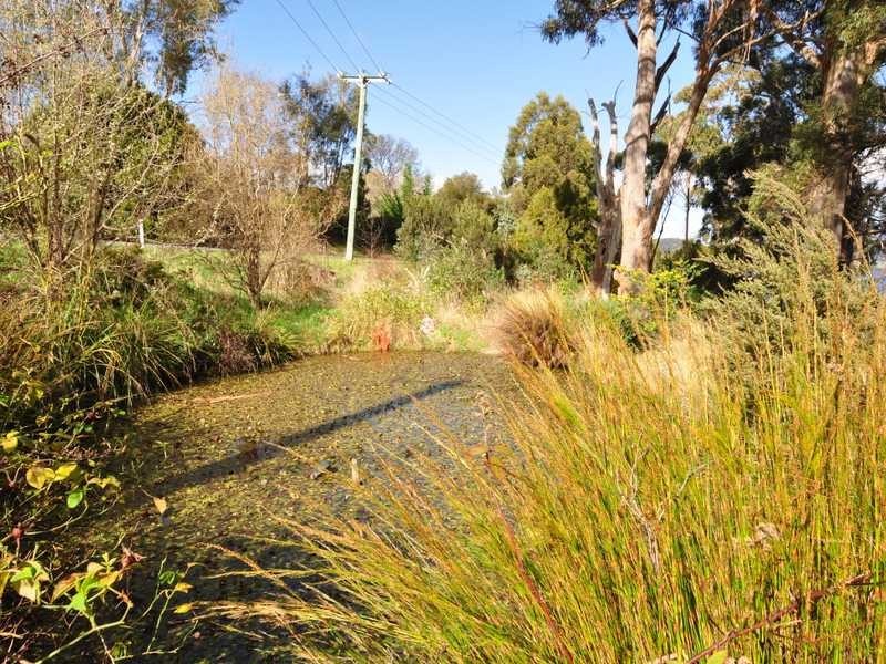 1345 Cygnet Coast Road, Lower Wattle Grove TAS 7109