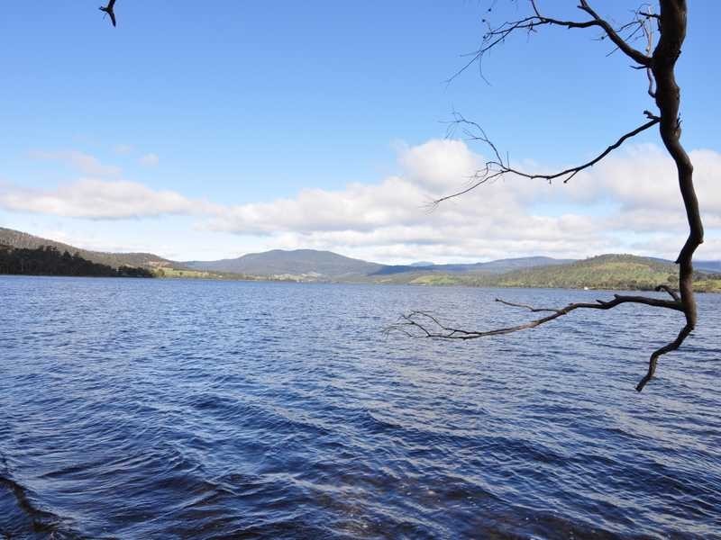 1345 Cygnet Coast Road, Lower Wattle Grove TAS 7109