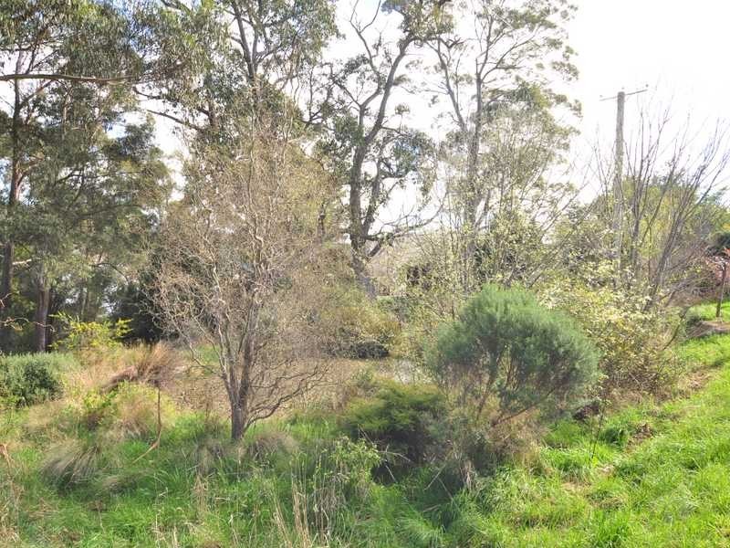 1345 Cygnet Coast Road, Lower Wattle Grove TAS 7109