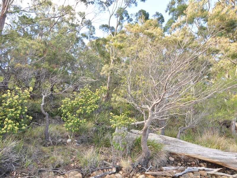 1345 Cygnet Coast Road, Lower Wattle Grove TAS 7109