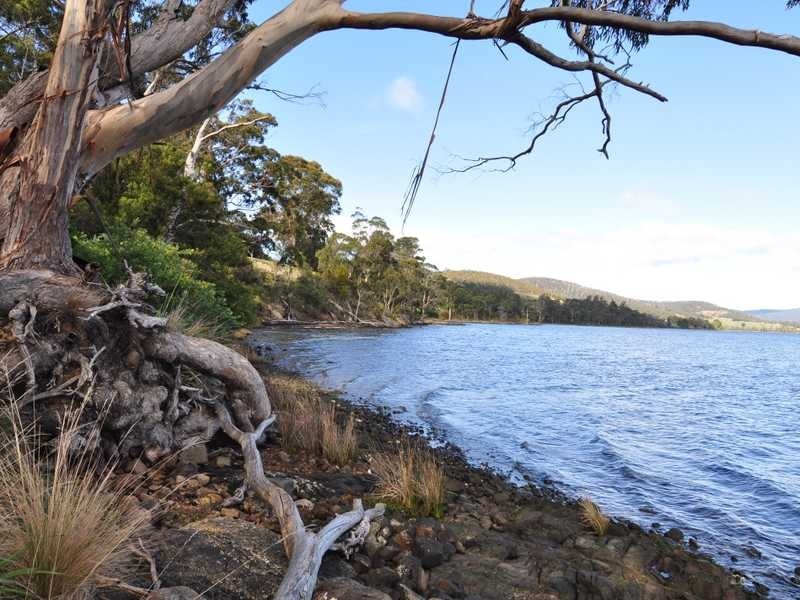 1345 Cygnet Coast Road, Lower Wattle Grove TAS 7109