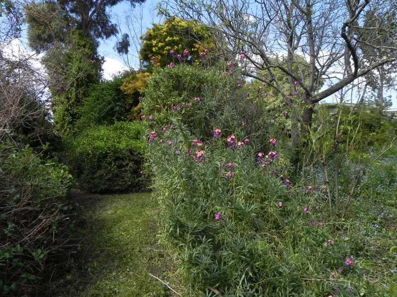 33 Esplanade Road, Cygnet TAS 7112