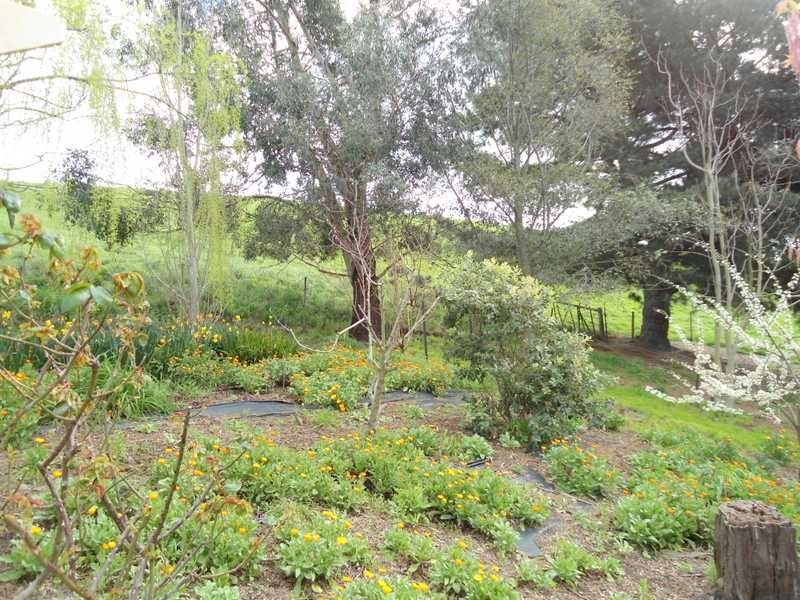 7685 Channel Highway, Cygnet TAS 7112
