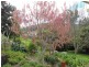 7685 Channel Highway, Cygnet TAS 7112