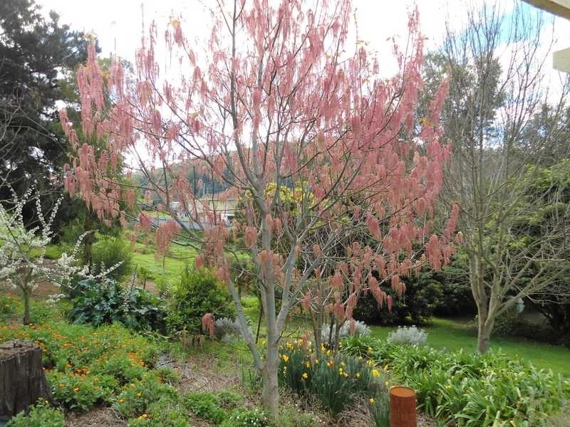 7685 Channel Highway, Cygnet TAS 7112