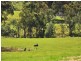 Lot 1 Woodbridge Hill Road, Gardners Bay TAS 7112
