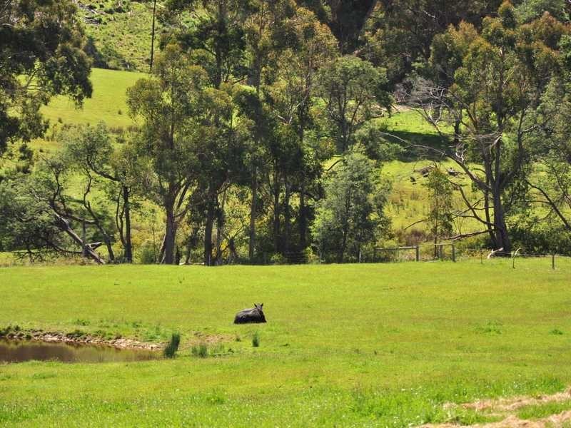 Lot 1 Woodbridge Hill Road, Gardners Bay TAS 7112