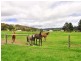 Gardners Bay TAS 7112