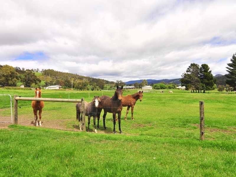 Gardners Bay TAS 7112